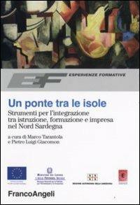 Un ponte tra le isole. Strumenti per l'integrazione tra istruzione, formazione e impresa nel nord Sardegna  - Libro Franco Angeli 2008, Esperienze formative | Libraccio.it