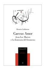 Caecus amor. Jean-Luc Marion e la dismisura del fenomeno - Rosaria Caldarone - Libro Edizioni ETS 2007, Philosophica | Libraccio.it