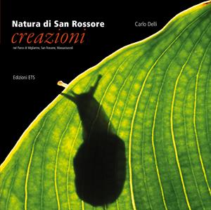 Natura di San Rossore. Creazioni nel Parco di Migliarino, San Rossore, Massaciuccoli - Carlo Delli - Libro Edizioni ETS 2011 | Libraccio.it