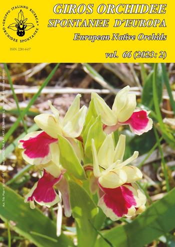 Giros. Orchidee spontanee d'Europa (2023). Vol. 2  - Libro Edizioni ETS 2024 | Libraccio.it