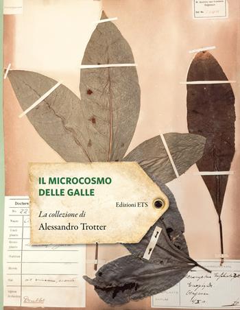 Il microcosmo delle galle. La collezione di Alessandro Trotter  - Libro Edizioni ETS 2024 | Libraccio.it