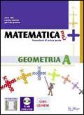 Matematica più. Geometria. Con espansione online