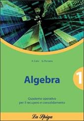Algebra. Quaderno operativo. Vol. 1