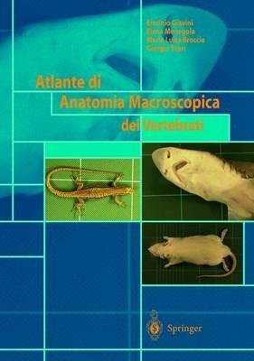 Atlante di anatomia macroscopica dei vertebrati  - Libro Springer Verlag 2002 | Libraccio.it