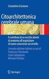 Citoarchitettonica cerebrale umana. Il contributo di un vecchio atlante di anatomia all'acquisizione delle nuove conoscenze sul cervello