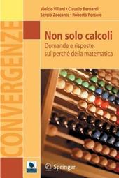 Non solo calcoli. Domande e risposte sui perché della matematica