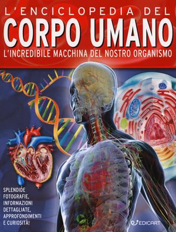 L'enciclopedia del corpo umano. L'incredibile macchina del nostro organismo - John Farndon, Nicki Lampon - Libro Edicart 2019, Miles Kelly | Libraccio.it