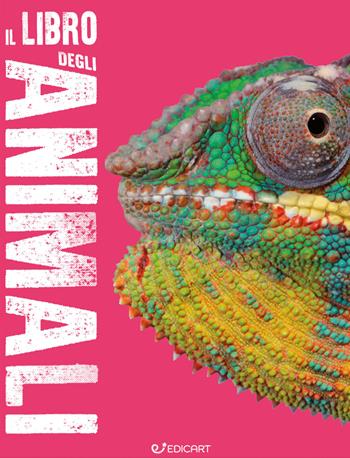 Il libro degli animali. Scoprimondo. Ediz. a colori  - Libro Edicart 2020, Miles Kelly | Libraccio.it