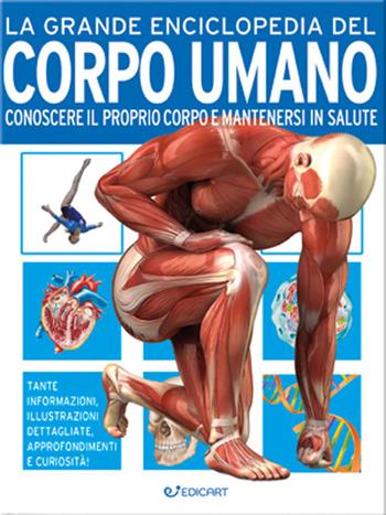 La grande enciclopedia del corpo umano. Conoscere il proprio corpo e mantenersi in salute - John Farndon, Nicki Lampon - Libro Edicart 2021, Miles Kelly | Libraccio.it