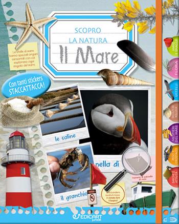 Il mare. Scopro la natura. Con adesivi. Ediz. a colori  - Libro Edicart 2021 | Libraccio.it