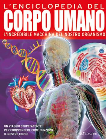 L'enciclopedia del corpo umano. L'incredibile macchina del nostro organismo. Ediz. a colori  - Libro Edicart 2022, Miles Kelly | Libraccio.it