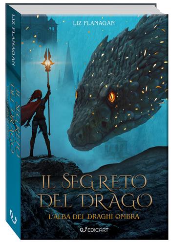 Il segreto del drago. L'alba dei draghi ombra. Ediz. illustrata - Liz Flanagan - Libro Edicart 2022, Outsider | Libraccio.it