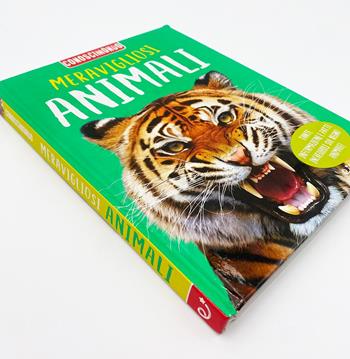 Meravigliosi animali. Conoscimondo. Ediz. a colori - Jinny Johnson, Ann Kay, Steve Parker - Libro Edicart 2023, Miles Kelly | Libraccio.it