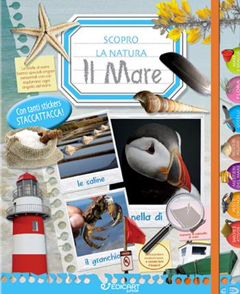Il mare. Scopro la natura. Con adesivi. Ediz. illustrata  - Libro Edicart 2023 | Libraccio.it