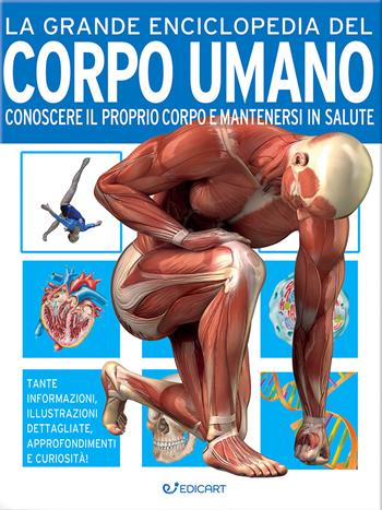La grande enciclopedia del corpo umano. Conoscere il proprio corpo e mantenersi in salute - John Farndon, Nicki Lampon - Libro Edicart 2023, Miles Kelly | Libraccio.it