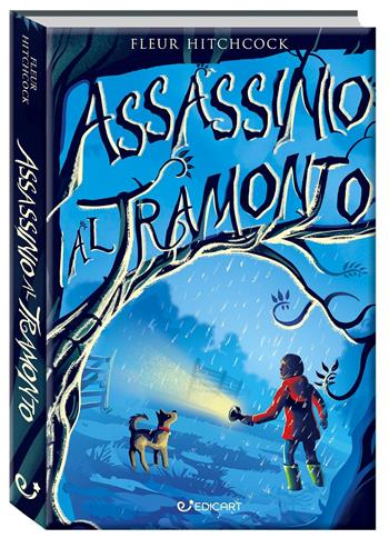 Assassinio al tramonto - Fleur Hitchcock - Libro Edicart 2025, Outsider | Libraccio.it