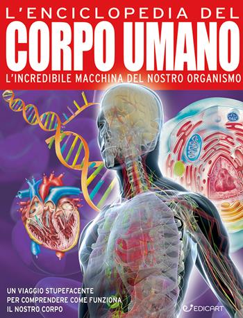 L'enciclopedia del corpo umano - John Farndon, Nicki Lampon - Libro Edicart 2025, Primo sapere | Libraccio.it