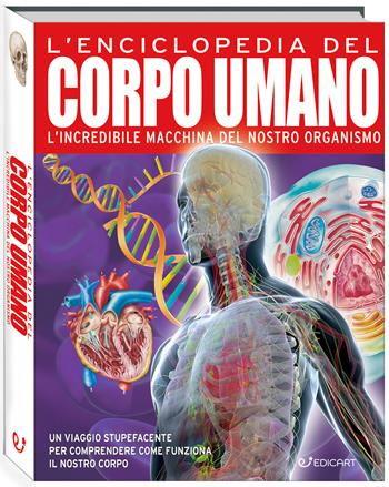 L'enciclopedia del corpo umano. Ediz. a colori - John Farndon, Nicki Lampon - Libro Edicart 2026, Primo sapere | Libraccio.it