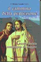 Il cammino della perfezione. Gesù fedele compagno di viaggio - Michele Vassallo - Libro San Michele 2001 | Libraccio.it