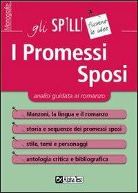 I Promessi Sposi. Analisi guidata al romanzo - Alessandro Capata - Libro Alpha Test 2013, Gli spilli | Libraccio.it