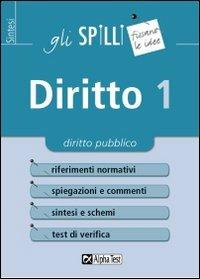 Diritto. Vol. 1: Diritto pubblico  - Libro Alpha Test 2015, Gli spilli | Libraccio.it