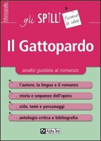 Il Gattopardo. Analisi guidata al romanzo - Mariangela Castiello - Libro Alpha Test 2015, Gli spilli | Libraccio.it