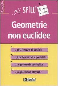 Geometrie non euclidee - Silvia Benvenuti - Libro Alpha Test 2015, Gli spilli | Libraccio.it