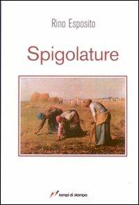 Spigolature - Rino Esposito - Libro Lampi di Stampa 2007 | Libraccio.it
