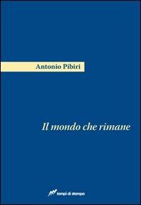 Il mondo che rimane - Antonio Pibiri - Libro Lampi di Stampa 2010, Festival | Libraccio.it