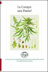La canapa: una pianta! - Giancarlo Cecconi - Libro Lampi di Stampa 2011, TuttiAUTORI | Libraccio.it