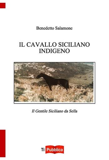 Il cavallo indigeno siciliano. Il gentile siciliano da sella  - Libro Lampi di Stampa 2013, TiPubblica | Libraccio.it