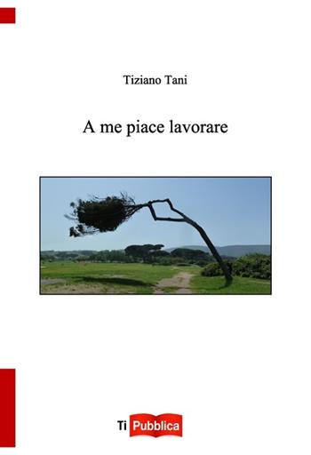 A me piace lavorare - Tiziano Tani - Libro Lampi di Stampa 2013, TiPubblica | Libraccio.it