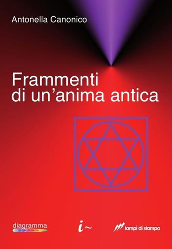 Frammenti di un'anima antica - Antonella Canonico - Libro Lampi di Stampa 2013, Altri titoli | Libraccio.it