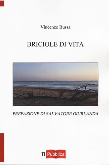 Briciole di vita - Vincenzo Bussa - Libro Lampi di Stampa 2017, TiPubblica | Libraccio.it