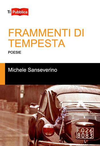 Frammenti di tempesta - Michele Sanseverino - Libro Lampi di Stampa 2020, TiPubblica | Libraccio.it
