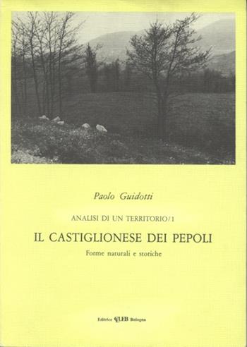 Il castiglionese dei Pepoli. Forme naturali e storiche della montagna - Paolo Guidotti - Libro CLUEB 1998 | Libraccio.it
