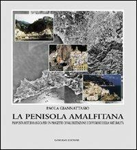 Le trasformazioni e il progetto urbano. Una metodologia operativa per una nuova dialettica tra piano e progetto - Paola Giannattasio - Libro Gangemi Editore 2003, Pianificazione territoriale urban. e amb. | Libraccio.it