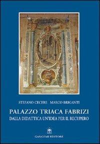 Palazzo Triaca Fabrizi. Dalla didattica un'idea per il recupero - Stefano Cecere, Marco Briganti - Libro Gangemi Editore 2012, Archeologia e restauro | Libraccio.it