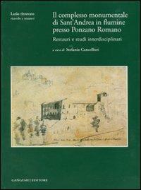 Il complesso monumentale di Sant'Andrea in Flumine presso Ponzano Romano. Restauri e studi interdisciplinari. Ediz. illustrata. Con CD-ROM  - Libro Gangemi Editore 2007, Arti visive, architettura e urbanistica | Libraccio.it