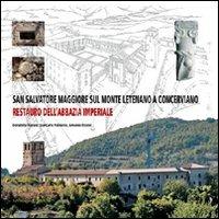 San Salvatore Maggiore sul monte Letenano a Concerviano. Restauro dell'abbazia imperiale - Donatella Fiorani, Giancarlo Palmerio, Amedeo Riccini - Libro Gangemi Editore 2010, Arti visive, architettura e urbanistica | Libraccio.it