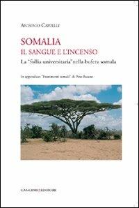 Somalia. Il sangue e l'incenso. La «follia universitaria» nella bufera somala - Antonio Cappelli - Libro Gangemi Editore 2011, Arti visive, architettura e urbanistica | Libraccio.it