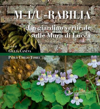 M-i/u-rabilia. Un giardino verticale sulle mura di Lucca. Ediz. a colori  - Libro Gangemi Editore 2017, Paesaggio: natura, cultura e arte | Libraccio.it