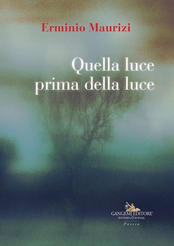 Quella luce prima della luce - Erminio Maurizi - Libro Gangemi Editore 2018, Le ragioni dell'uomo | Libraccio.it