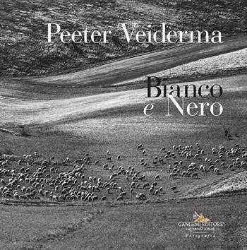Peeter Veiderma. Bianco e nero  - Libro Gangemi Editore 2025, Fotografia | Libraccio.it