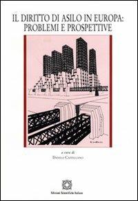 Il diritto di asilo in Europa. Problemi e prospettive  - Libro Edizioni Scientifiche Italiane 2008, Institut internat. d'études européennes | Libraccio.it