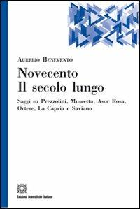Novecento. Il secolo lungo - Aurelio Novecento - Libro Edizioni Scientifiche Italiane 2010, Il portale | Libraccio.it