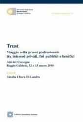 Trust. Viaggio nella prassi professionale tra interessi privati, fini pubblici e benefici