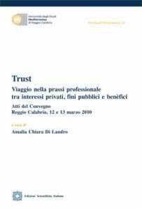 Trust. Viaggio nella prassi professionale tra interessi privati, fini pubblici e benefici - Amalia Chiara Di Landro - Libro Edizioni Scientifiche Italiane 2011 | Libraccio.it