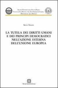 La tutela dei diritti umani e dei principi democratici nell'azione esterna dell'Unione Europea - Silvia Angioi - Libro Edizioni Scientifiche Italiane 2012, Seconda Università di Napoli Jean Monnet | Libraccio.it