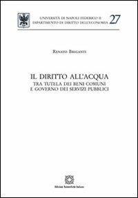 Il diritto dell'acqua - Renato Briganti - Libro Edizioni Scientifiche Italiane 2012, Univ. Napoli-Dip. diritto dell'economia | Libraccio.it